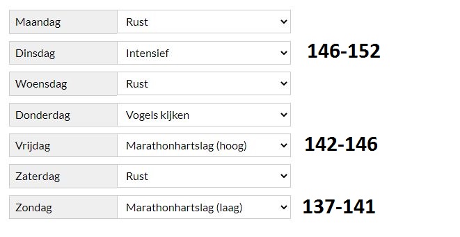 schema sportrusten marathon.JPG