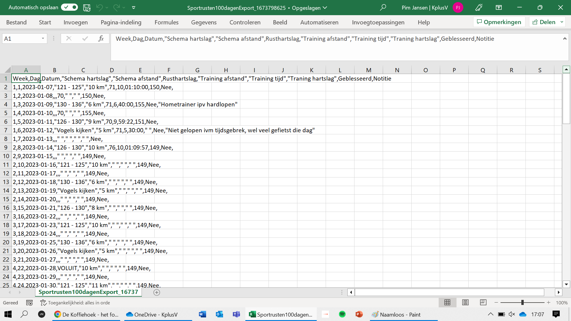 Printscreen Excel Export.png